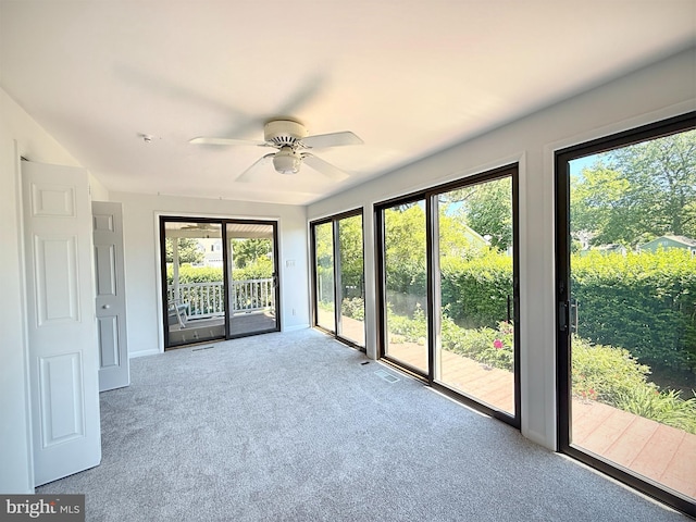 957 Terrapin St Unit 2, Bethany Beach, DE 19930 - unfurnished sunroom with healthy amount of natural light