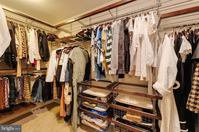 1296 Newkirk Ct, Vienna, VA 22182 - spacious closet with carpet floors