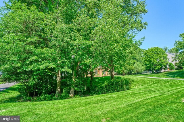 1296 Newkirk Ct, Vienna, VA 22182 - view of grassy yard