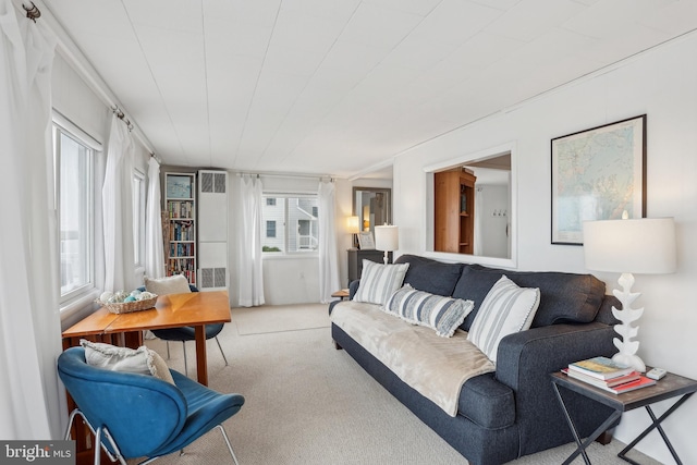 398 Kingfisher Rd, Tuckerton, NJ 08087 - living room with carpet floors