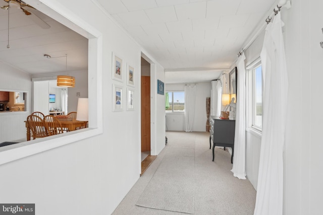 398 Kingfisher Rd, Tuckerton, NJ 08087 - hallway featuring carpet flooring