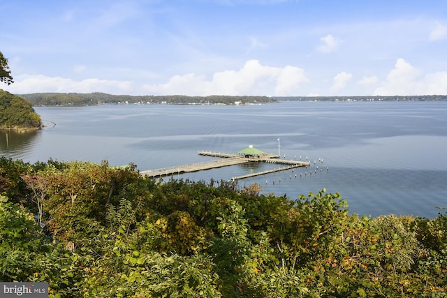 201 Nottingham Hl, Annapolis, MD 21405 - water view with a boat dock