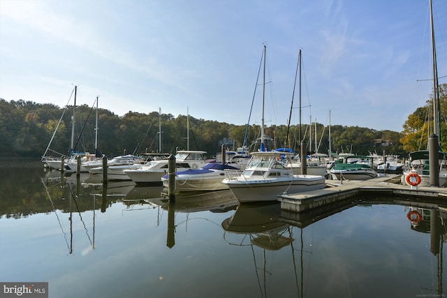 201 Nottingham Hl, Annapolis, MD 21405 - dock area featuring a water view and a view of trees