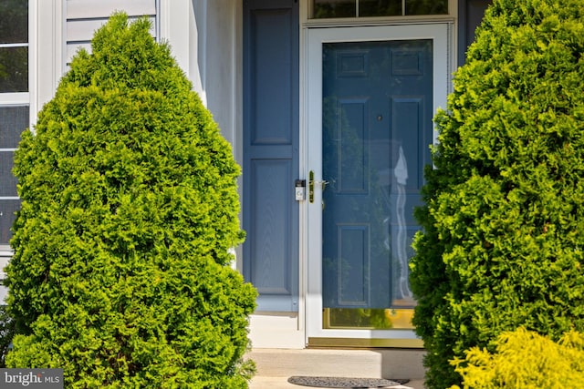 view of exterior entry