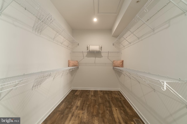 spacious closet with dark wood-style floors