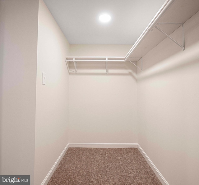 803 Essex Ave, Essex, MD 21221 - walk in closet featuring carpet