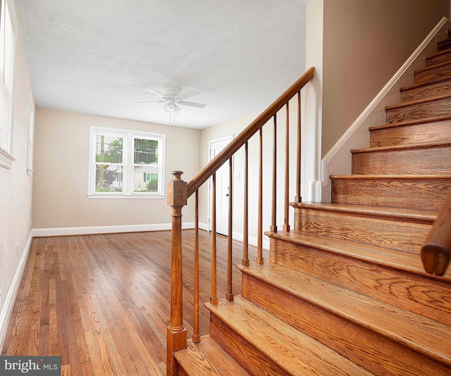 803 Essex Ave, Essex, MD 21221 - stairway featuring ceiling fan, wood finished floors, baseboards, and a textured ceiling