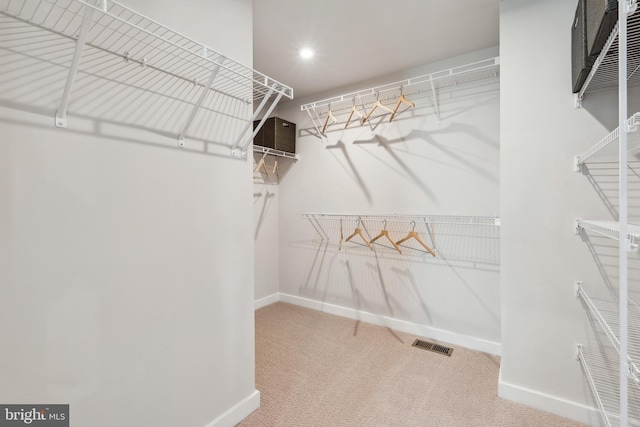 spacious closet featuring carpet flooring