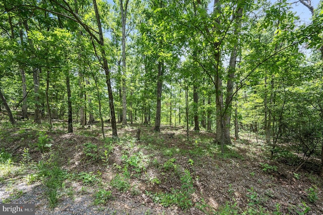 LOT8 Glen Ridge Rd, Winchester, VA 22601