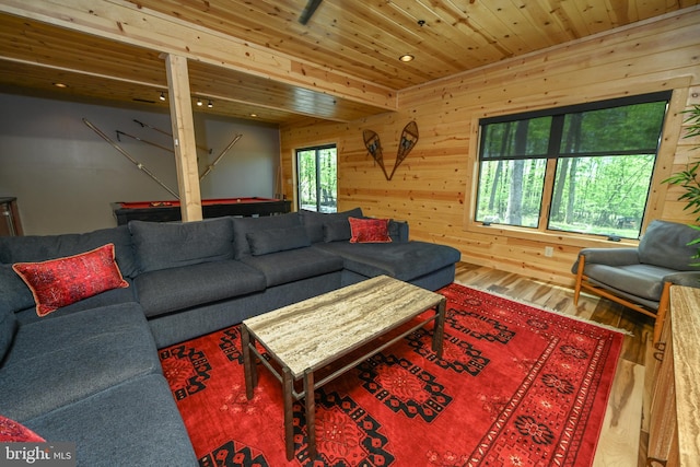 1067 N Camp Rd, Mc Henry, MD 21541 - living area featuring wood finished floors, wooden ceiling, wood walls, and billiards table