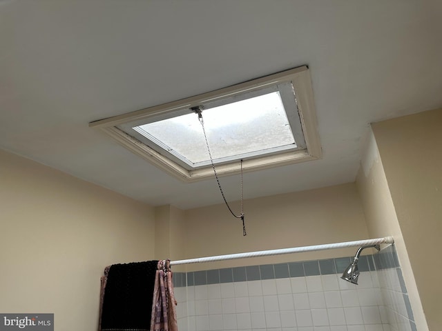 1533 N Carolina Ave NE, Washington, DC 20002 - bathroom view of a skylight and curtained shower