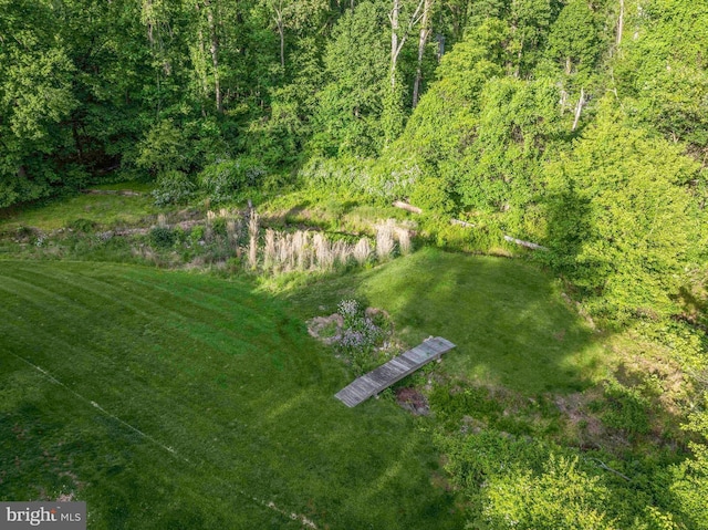 3097 Mill Rd, Doylestown, PA 18902 - view of yard featuring a forest view