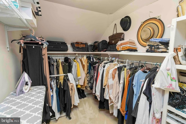 3097 Mill Rd, Doylestown, PA 18902 - walk in closet featuring carpet flooring