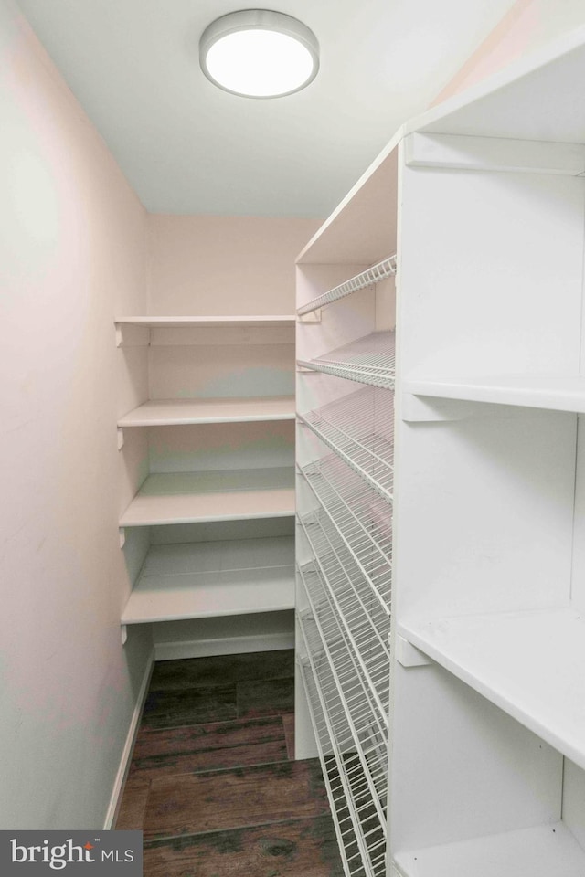 3097 Mill Rd, Doylestown, PA 18902 - view of pantry