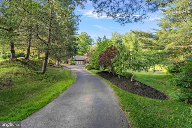 3097 Mill Rd, Doylestown, PA 18902 - view of asphalt driveway