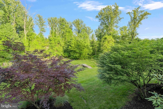 3097 Mill Rd, Doylestown, PA 18902 - view of yard featuring a wooded view