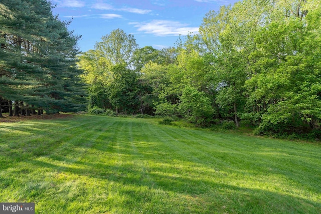 3097 Mill Rd, Doylestown, PA 18902 - view of green lawn with a wooded view