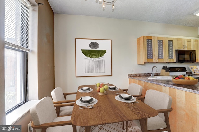 1001 Saint Paul St Unit 2D, Baltimore, MD 21202 - dining space with healthy amount of natural light and a textured ceiling