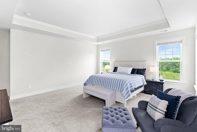 19253 Running Spring Ct, Leesburg, VA 20175 - bedroom featuring a tray ceiling, multiple windows, and ornamental molding