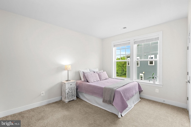 19253 Running Spring Ct, Leesburg, VA 20175 - bedroom featuring baseboards and carpet flooring