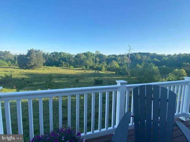 19253 Running Spring Ct, Leesburg, VA 20175 - view of balcony