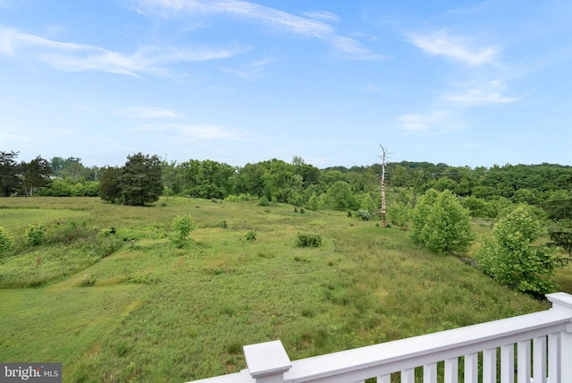19253 Running Spring Ct, Leesburg, VA 20175 - view of yard