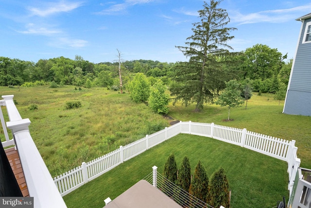 19253 Running Spring Ct, Leesburg, VA 20175 - view of yard