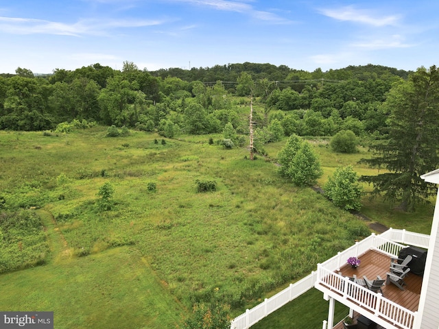 19253 Running Spring Ct, Leesburg, VA 20175 - bird's eye view of a heavily wooded area