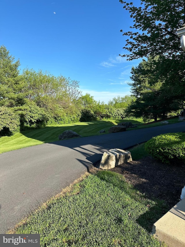801 Christopher Dr, Reading, PA 19610 - view of road
