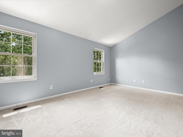7301 Eden Brook Dr Unit A-1, Columbia, MD 21046 - empty room with plenty of natural light, carpet floors, and vaulted ceiling