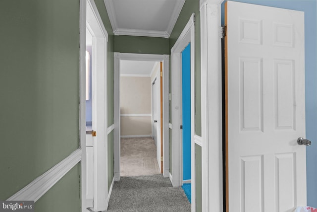 3618 Creamery Rd, Bensalem, PA 19020 - hall with crown molding and carpet flooring