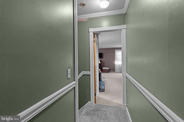 3618 Creamery Rd, Bensalem, PA 19020 - hall featuring carpet and crown molding