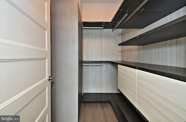 575 S Goddard Blvd Unit 511, King Of Prussia, PA 19406 - walk in closet with dark wood-type flooring