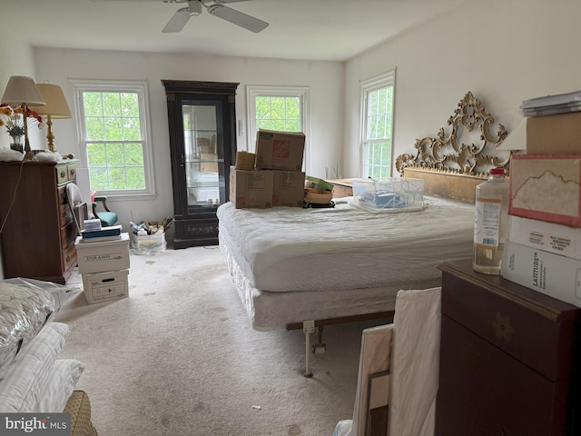 801 Irenic Ct, Norristown, PA 19403 - bedroom featuring multiple windows, carpet flooring, and ceiling fan
