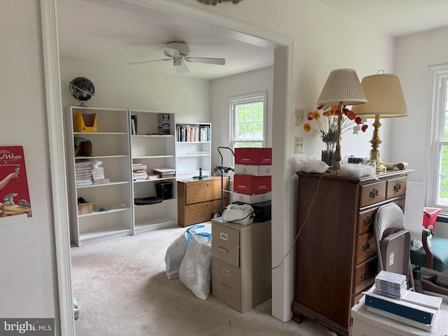 801 Irenic Ct, Norristown, PA 19403 - bedroom with light carpet