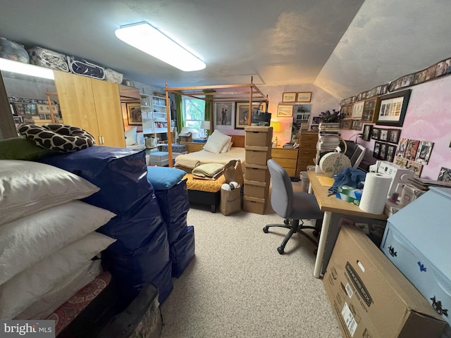 801 Irenic Ct, Norristown, PA 19403 - home office with carpet floors and vaulted ceiling