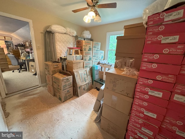 801 Irenic Ct, Norristown, PA 19403 - storage with ceiling fan
