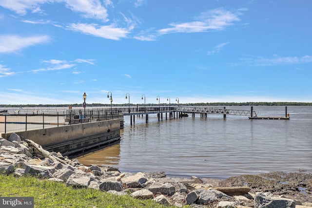 55 The Strand, New Castle, DE 19720 - dock with a water view