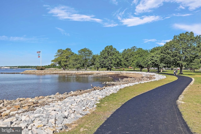 55 The Strand, New Castle, DE 19720 - water view