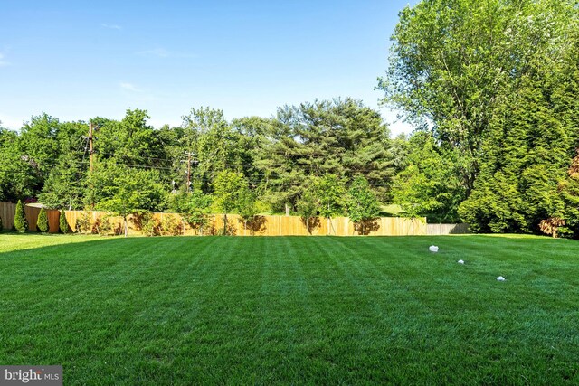 935 Dead Run Dr, Mclean, VA 22101 - view of yard