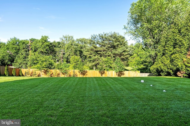 935 Dead Run Dr, Mclean, VA 22101 - view of yard