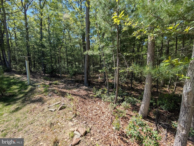 130 Corktree Rd, Kunkletown, PA 18058 - view of wooded area