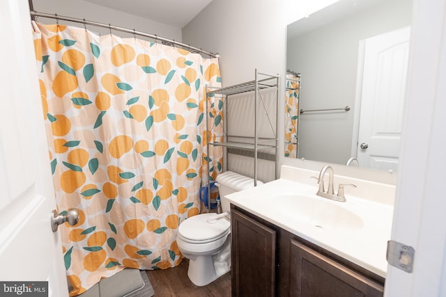 104 Overlook Dr, Hanover, PA 17331 - bathroom featuring wood finished floors, vanity, toilet, and curtained shower