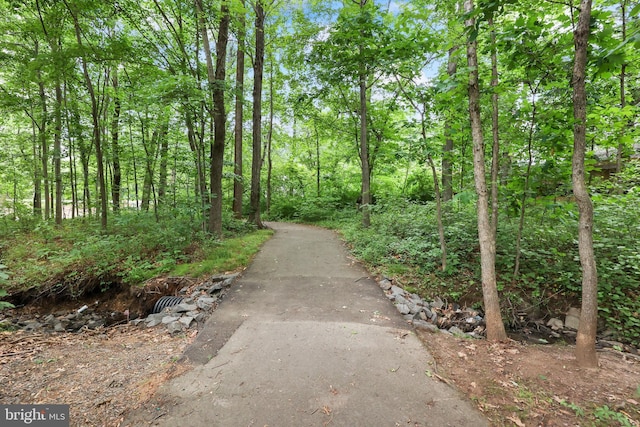 12220 Apple Orchard Ct, Fairfax, VA 22033 - surrounding community featuring driveway