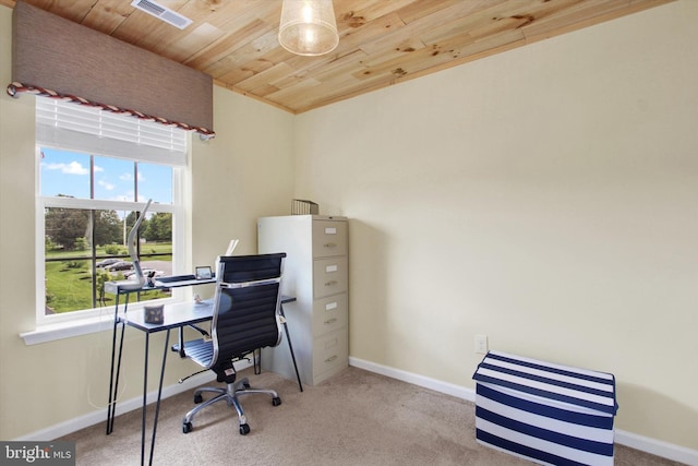 31 Holstein Dr, Hanover, PA 17331 - office with wood ceiling, carpet, and baseboards