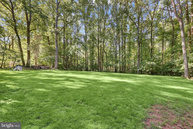 3 Franklin St, Stafford, VA 22556 - view of grassy yard