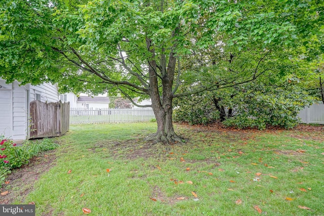 27 N Warren St, Woodbury, NJ 08096 - view of yard