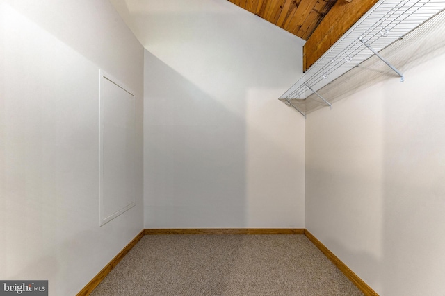 14854 Trout School Rd, Felton, PA 17322 - spacious closet with carpet