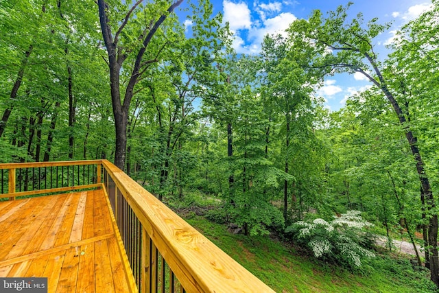 14854 Trout School Rd, Felton, PA 17322 - view of deck
