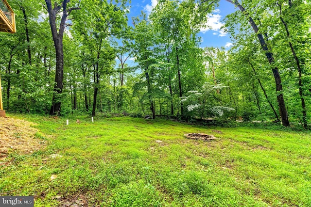 14854 Trout School Rd, Felton, PA 17322 - view of yard